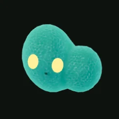 BLARKOSSA